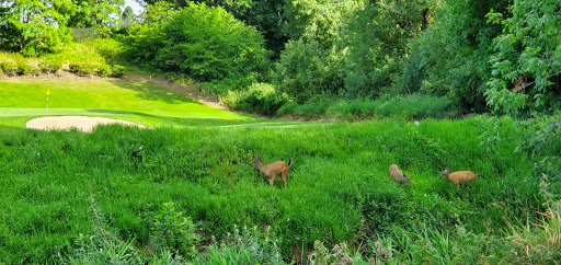 Golf Course «McKay Creek Golf Course & Driving Range», reviews and photos, 1416 NW Jackson St, Hillsboro, OR 97124, USA