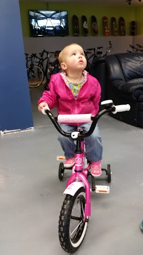 Bicycle Store «AirLine Cycles», reviews and photos, 2 Barton Hill Rd, East Hampton, CT 06424, USA