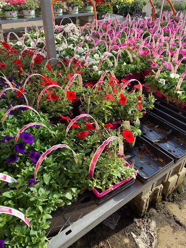 Home Improvement Store «The Home Depot», reviews and photos, 5858 Sawmill Rd, Dublin, OH 43017, USA