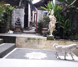 Umah Dajane Guest House photo