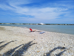 Spiaggia dei Pedaso'in fotoğrafı çok temiz temizlik seviyesi ile