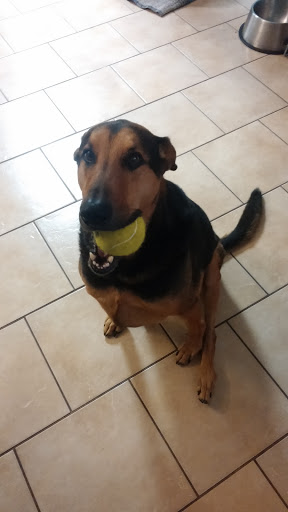 Tattoo Shop «magnum opus tattoo company», reviews and photos, 1817 Padre Blvd #4, South Padre Island, TX 78597, USA