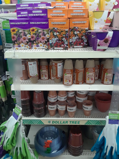 Dollar Store «Dollar Tree», reviews and photos, 14158 NE Woodinville Duvall Rd, Woodinville, WA 98072, USA