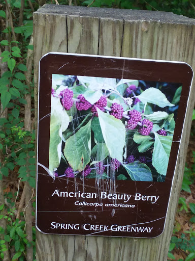 Nature Preserve «Spring Creek Greenway Nature Center», reviews and photos, 1300 Riley Fuzzel Rd, Spring, TX 77386, USA