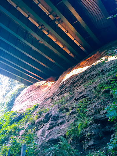 Bicycle Rental Service «Silver Comet Cycles», reviews and photos, 4342 Floyd Rd SW, Mableton, GA 30126, USA