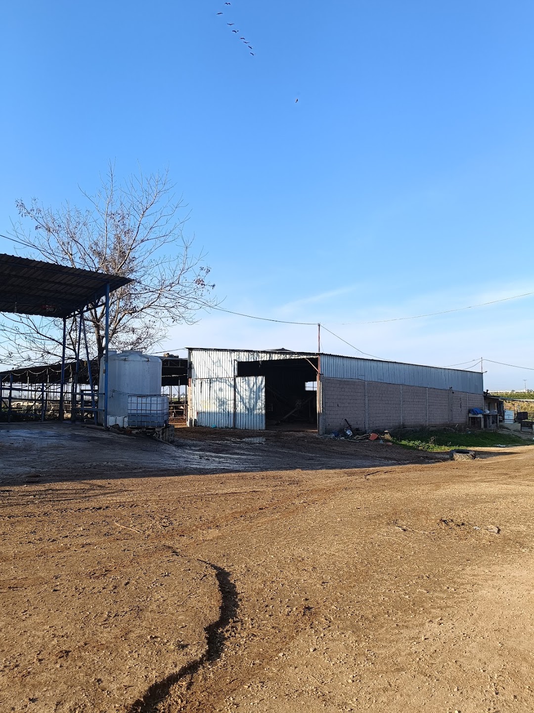 Dişkaya kardeşler tarım ve hayvancılık