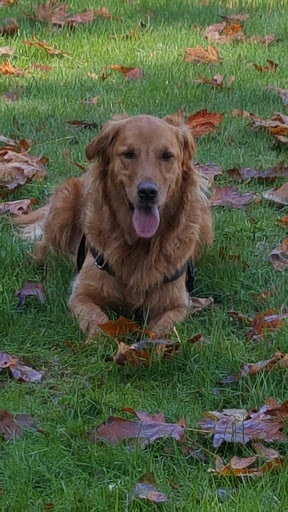 Auto Repair Shop «Southend Auto Care», reviews and photos, 8318 Pacific Hwy E, Tacoma, WA 98422, USA