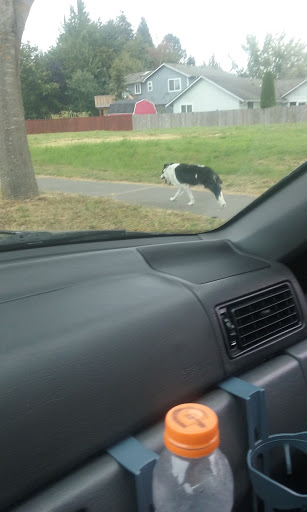 Park «Freylands Park», reviews and photos, Wales St SE & Van Ave SE, Monroe, WA 98272, USA