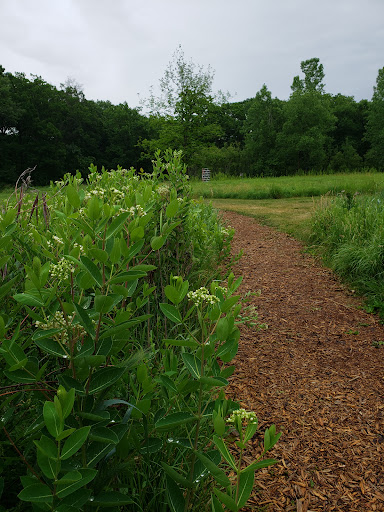 Park «Silver Lake Beach Park», reviews and photos, 4305 NE Stinson Blvd, Columbia Heights, MN 55421, USA