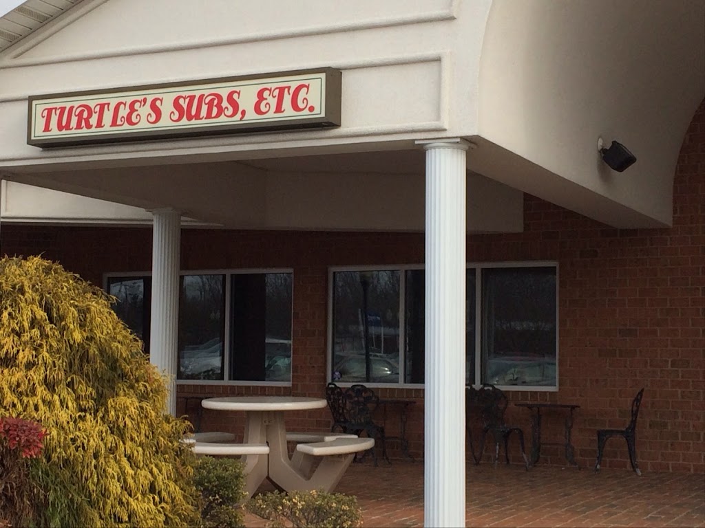 Turtles Subs Etc 21740