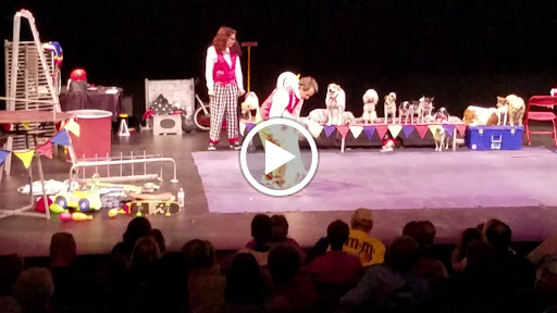 Arts Organization «Fairfield Community Arts Center», reviews and photos, 411 Wessel Dr, Fairfield, OH 45014, USA