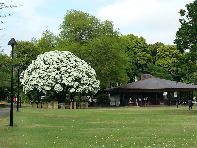 麗澤大学 千葉県柏市光ケ丘 大学 グルコミ