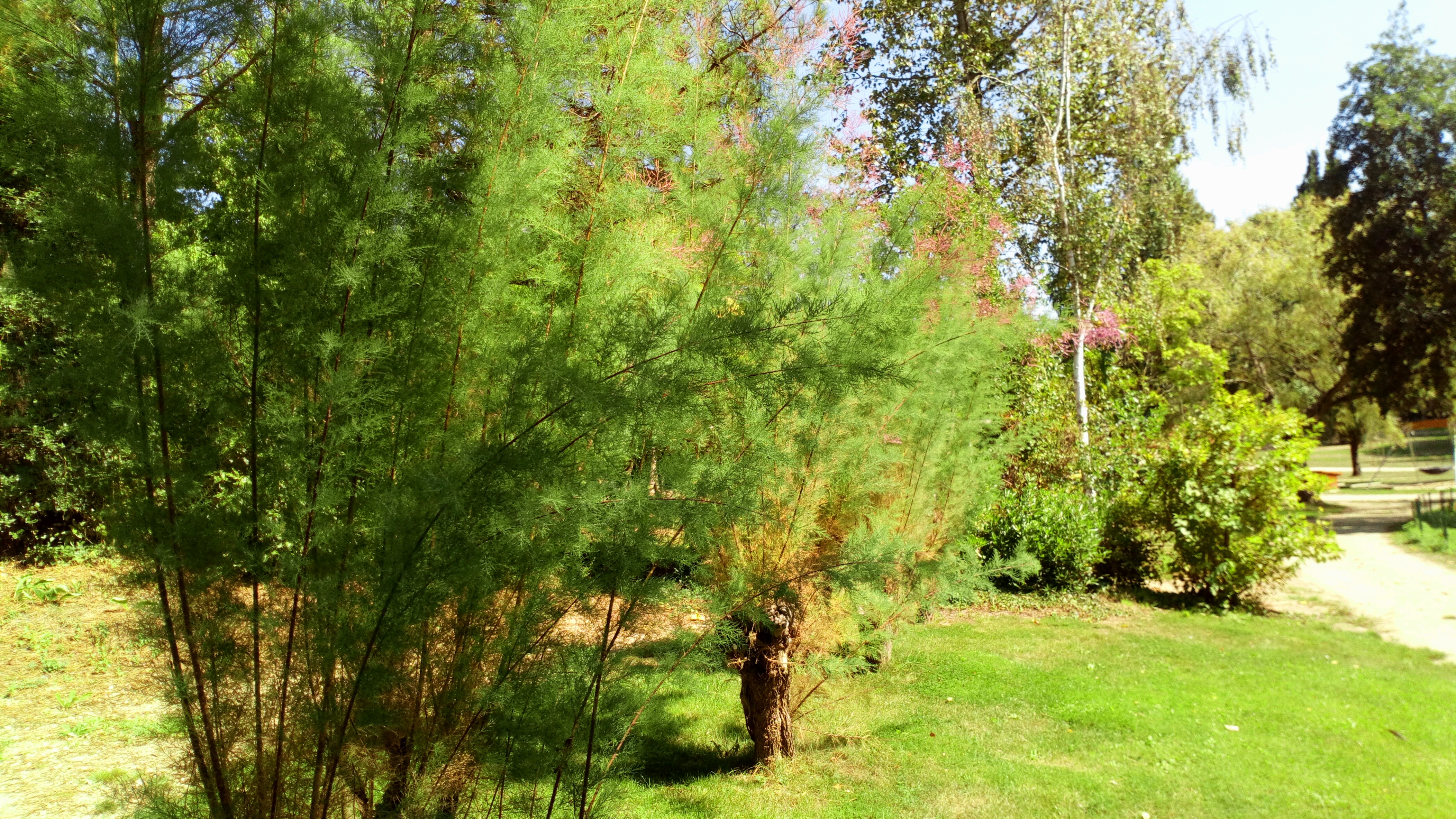 Photo n° 4 de l'avis de Yoris.e fait le 02/09/2018 à 16:08