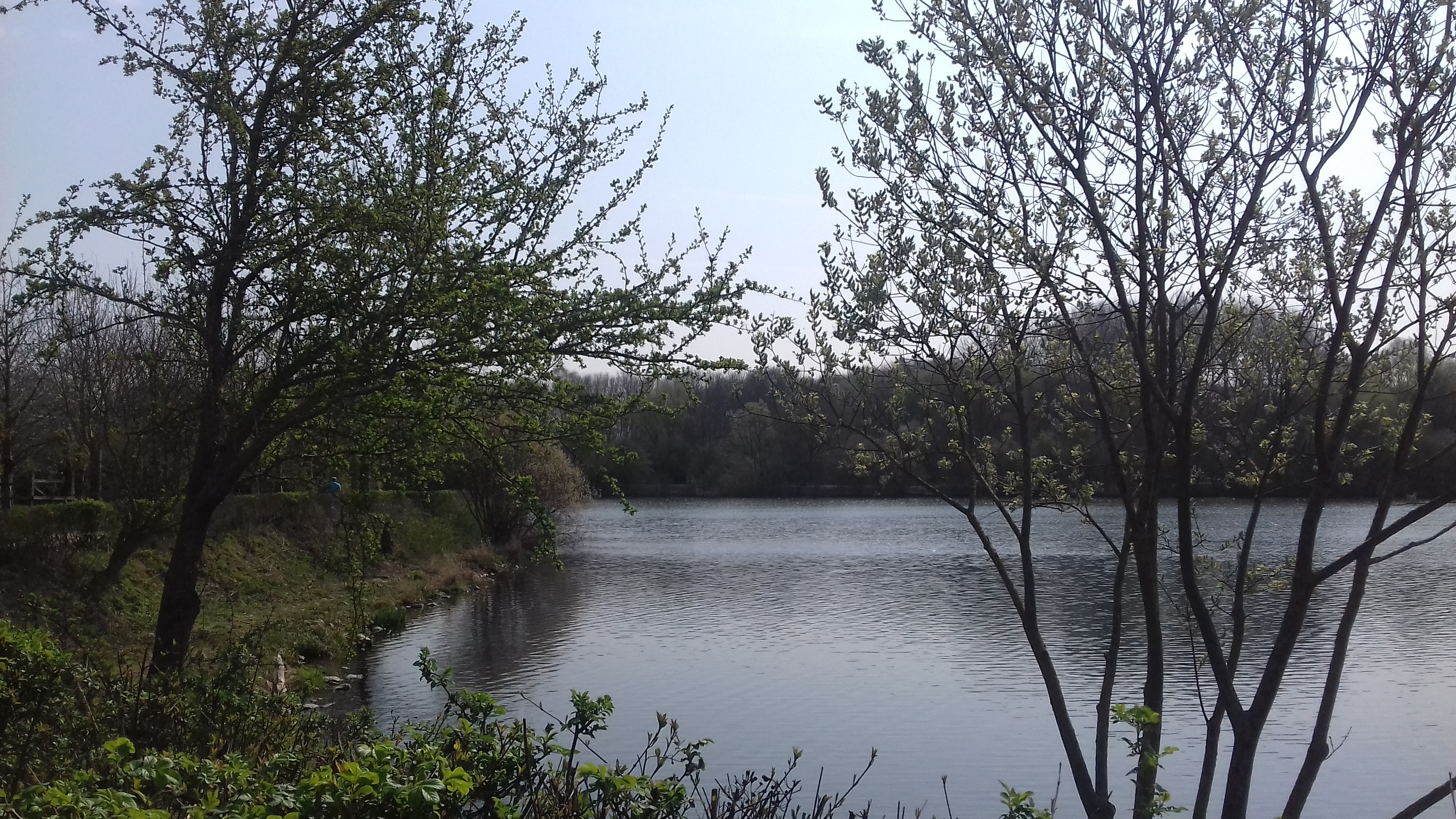 Photo n° 2 de l'avis de A. fait le 01/04/2019 à 13:14
