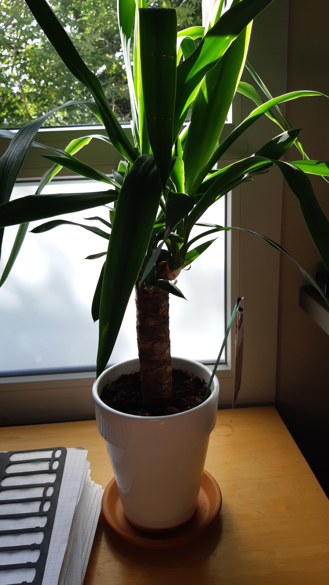 Photo n° 1 de l'avis de martin.h fait le 05/09/2018 à 14:37