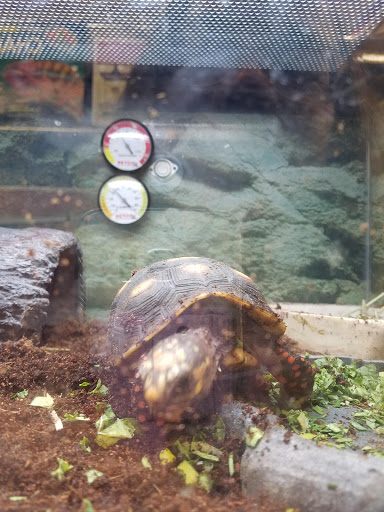 Pet Supply Store «Petco Animal Supplies», reviews and photos, 1465 Woodbury Ave, Portsmouth, NH 03801, USA