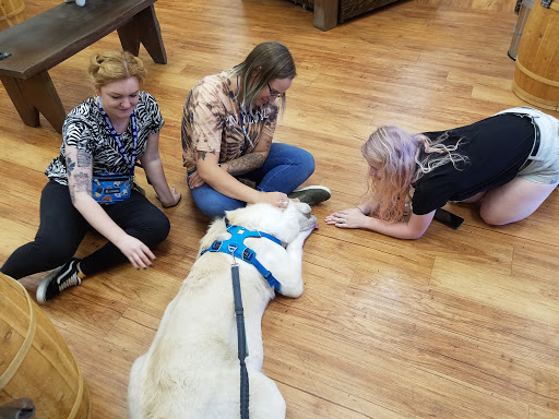 Pet Supply Store «Mud Bay», reviews and photos, 3804 Bridgeport Way W, University Place, WA 98466, USA