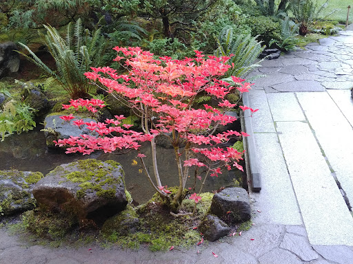 Gift Shop «Portland Japanese Garden Gift Shop», reviews and photos, 611 SW Kingston Ave, Portland, OR 97205, USA