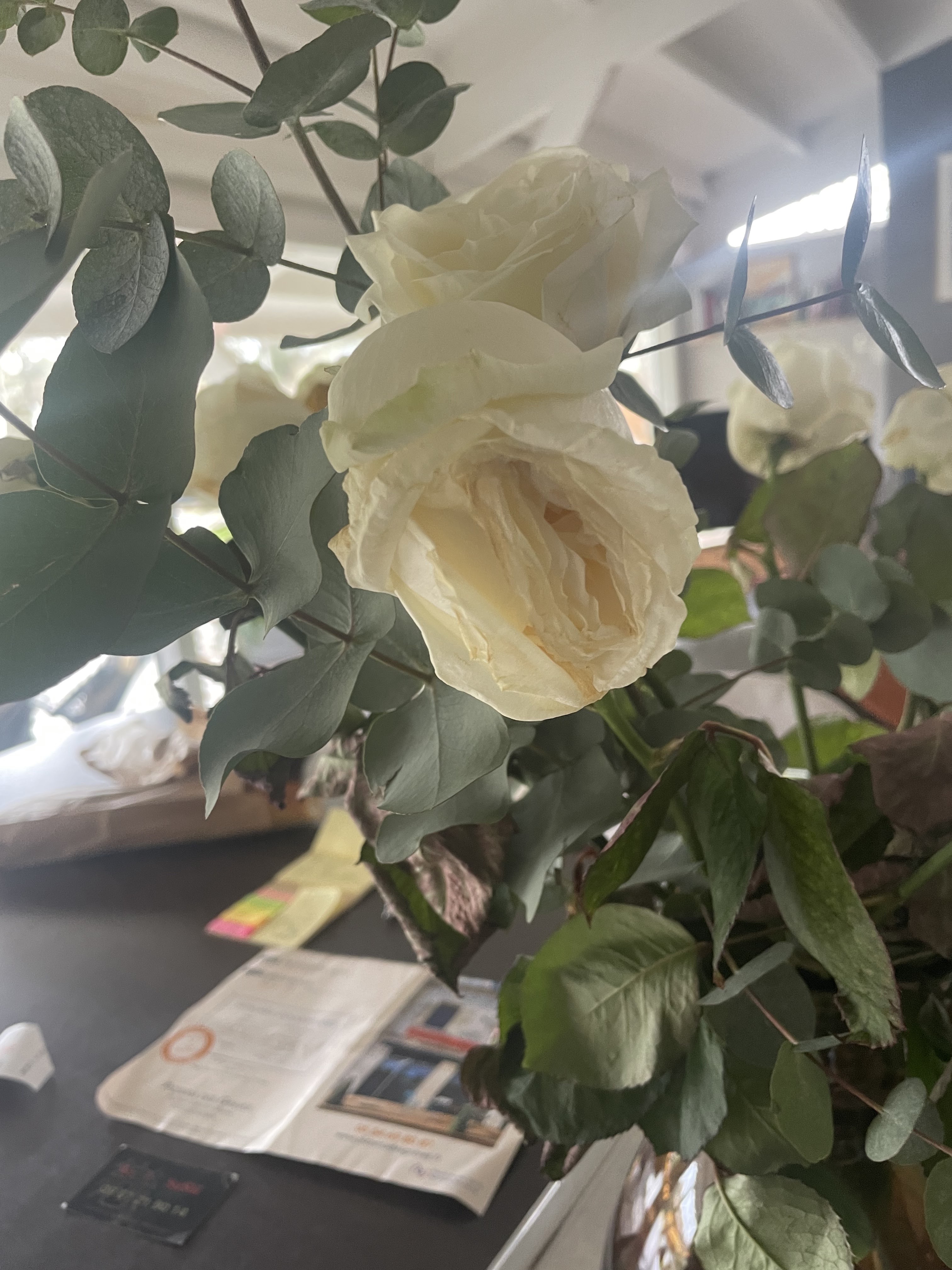 Photo n° 1 de l'avis de nicolas.a fait le 16/02/2024 à 12:04