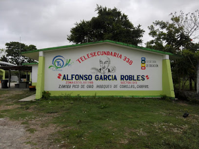 Telesec 338 Alfonso Garcia Robles