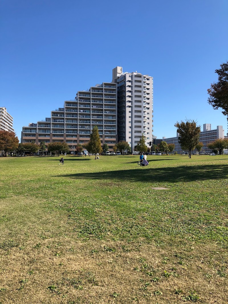 足立区立新田さくら公園