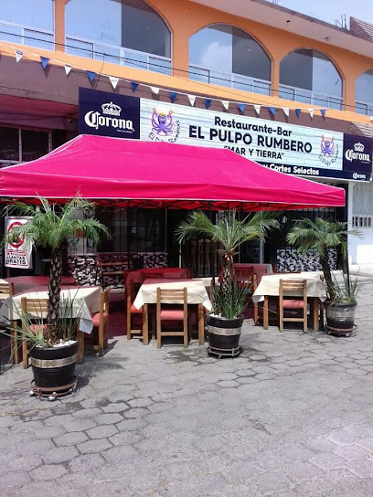 El Pulpo Rumbero - And. Londres 3, Centro Urbano, 54700 Cuautitlán Izcalli, Méx., Mexico
