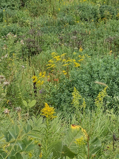 Park «Theodore Wirth Regional Park», reviews and photos, 1339 Theodore Wirth Pkwy, Golden Valley, MN 55422, USA