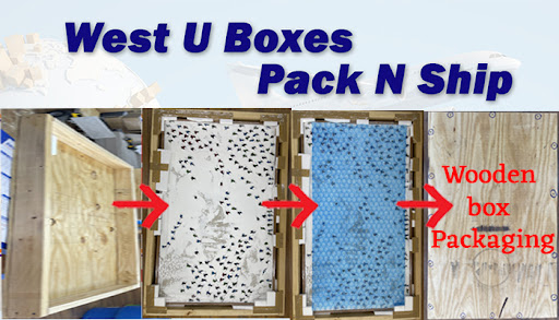 West U Boxes Pack N Ship - DHL | FedEx | UPS | Mailboxes | Notary Public