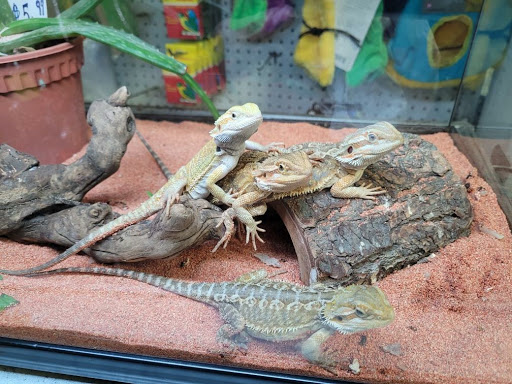 Pet Supply Store «E & M Pet Shop», reviews and photos, 5900 Whittier Blvd, Los Angeles, CA 90022, USA