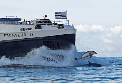 Compagnie Maritime BreizhGo Penn Ar Bed - Molène à Île-Molène