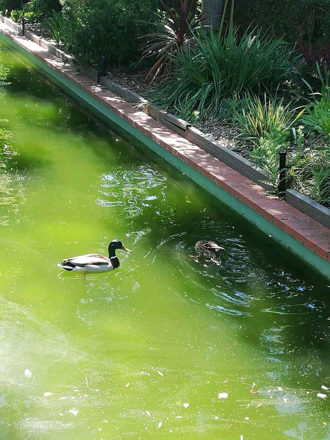 Photo n° 2 de l'avis de Thierry.a fait le 16/05/2019 à 14:22