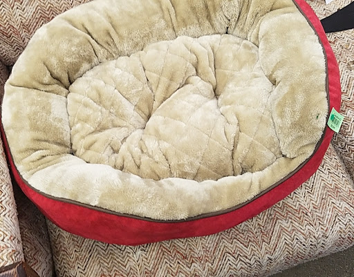 Thrift Store «Goodwill Store & Donation Center», reviews and photos, 1020 N Rohlwing Rd, Addison, IL 60101, USA