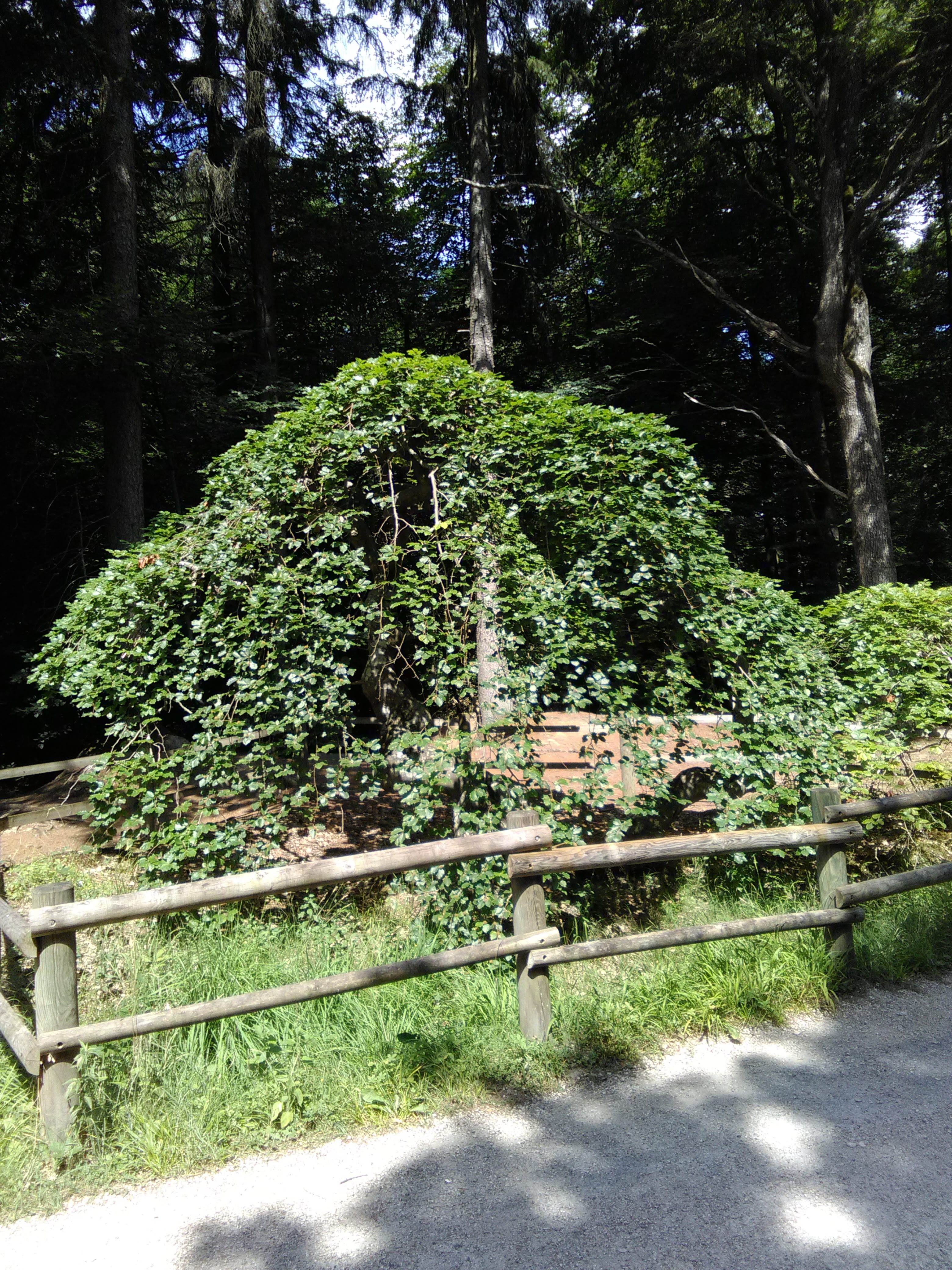 Photo n° 1 de l'avis de janiere.a fait le 11/07/2018 à 17:05