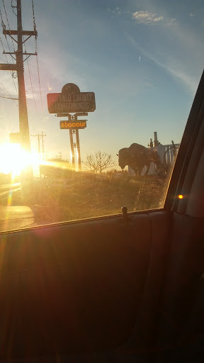 Fairground «Buffalo County Fairgrounds», reviews and photos, 3807 Avenue N, Kearney, NE 68847, USA