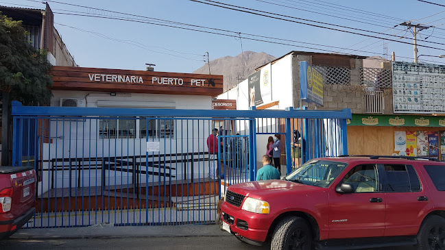 Clínica Veterinaria Peluquería Canina PUERTO PET - Antofagasta