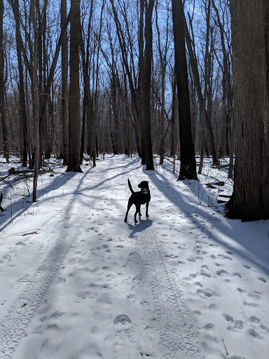 Golf Course «Lyon Oaks Golf Club», reviews and photos, 52251 Pontiac Trail, Wixom, MI 48393, USA