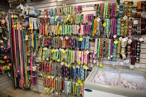 Gift Shop «Nautical Dog LLC», reviews and photos, 5104 Main St, Williamsburg, VA 23188, USA