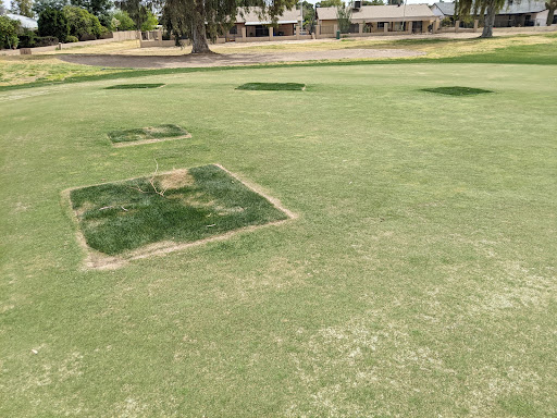 Country Club «Ahwatukee Country Club», reviews and photos, 12432 S 48th St, Phoenix, AZ 85044, USA