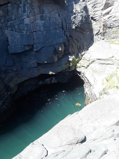 Sightseeing Tour Agency «Acadia National Park Tours», reviews and photos, 53 Main St, Bar Harbor, ME 04609, USA