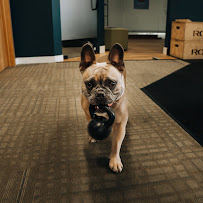 Performance & Recovery Labs / PR Labs - Photo 9 - Car repair in Boulder, CO, Boulder