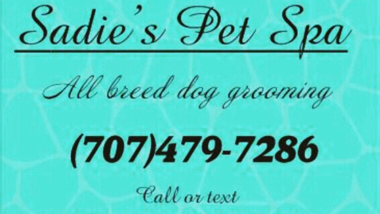 Sadie's Pet Spa