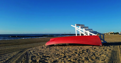 Florist «Sparrows Nest Flower Shop LLC», reviews and photos, 65 Sylvania Ave, Neptune City, NJ 07753, USA