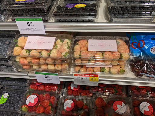 Supermarket «Publix Super Market at Anastasia Plaza», reviews and photos, 1033 A1A Beach Blvd, St Augustine, FL 32080, USA