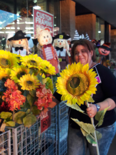 Craft Store «A.C. Moore Arts and Crafts», reviews and photos, 300 Hylan Dr, Rochester, NY 14623, USA