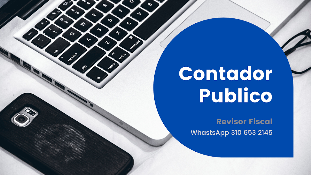 Contador publico