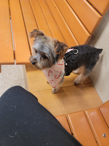 Pet Supply Store «PetSmart», reviews and photos, 777 S Willow St, Manchester, NH 03103, USA