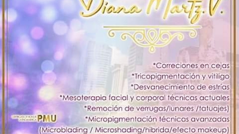 Maquillaje Profesional Microblading & Microshading Cejas Perfectas by Especialista en Micropigmentacion y Microblading Diana Martz certicacion nacional/ korea e INTERNACIONAL cursos personalizados