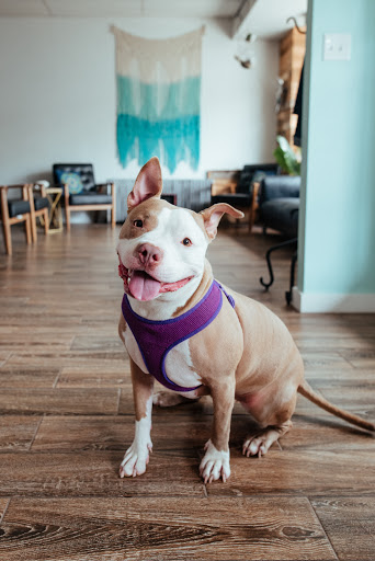 Hair Salon «Mint Hair Studio», reviews and photos, 323 E Main St, Collegeville, PA 19426, USA