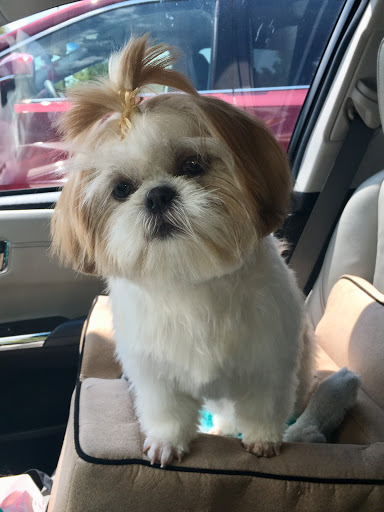 Pet Supply Store «Petco Animal Supplies», reviews and photos, 7303 Pinnacle Pkwy, Covington, LA 70433, USA