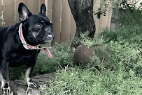 LunaDaFrenchy Productions - Photo 7 - Car repair in Sacramento, CA, Sacramento